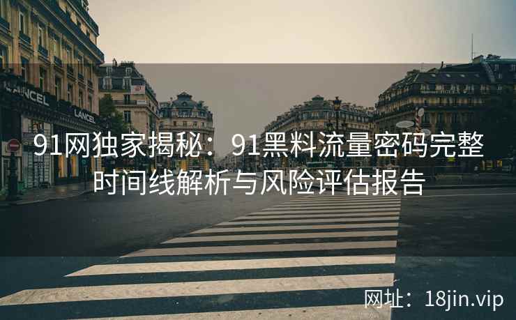 91网独家揭秘：91黑料流量密码完整时间线解析与风险评估报告