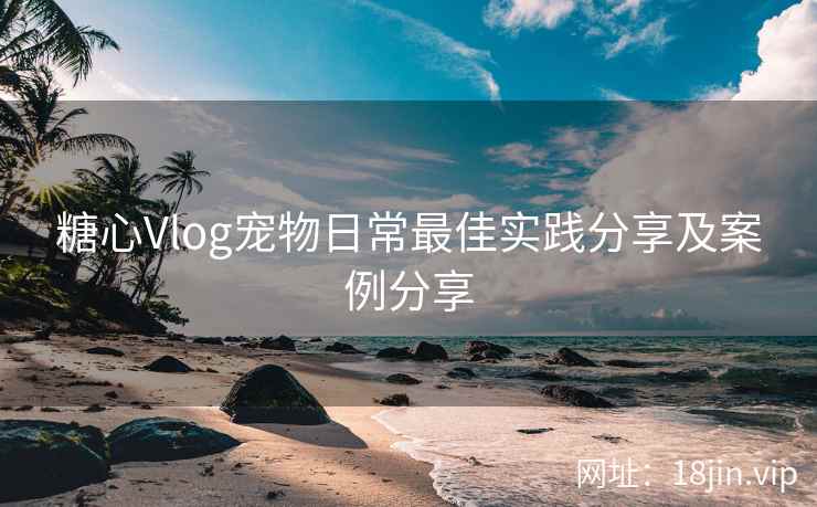 糖心Vlog宠物日常最佳实践分享及案例分享