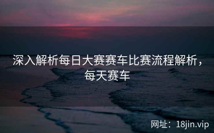 深入解析每日大赛赛车比赛流程解析，每天赛车