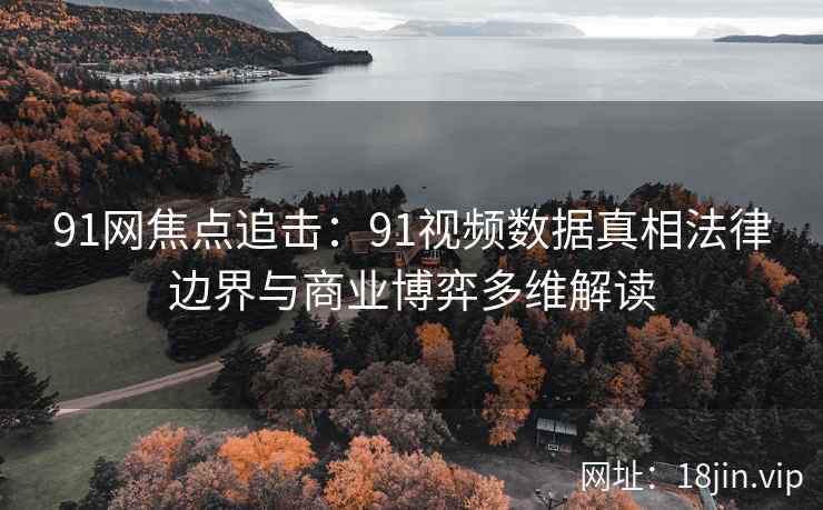 91网焦点追击：91视频数据真相法律边界与商业博弈多维解读