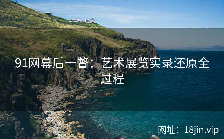 91网幕后一瞥：艺术展览实录还原全过程